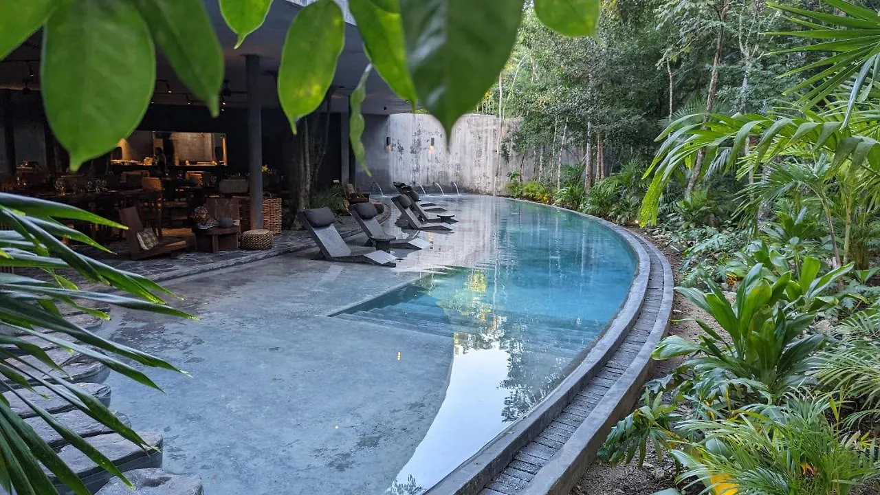 Exclusive Penthouse By Famous Interior Designer By Yeah Lejlighed Tulum