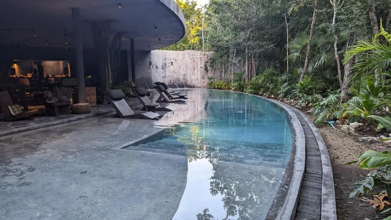Exclusive Penthouse By Famous Interior Designer By Yeah Lejlighed Tulum 0*,