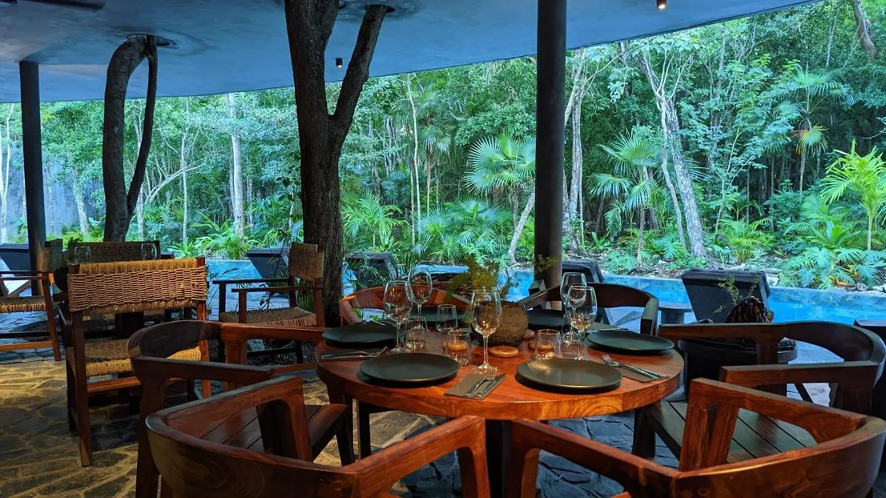 Exclusive Penthouse By Famous Interior Designer By Yeah Lejlighed Tulum Mexico