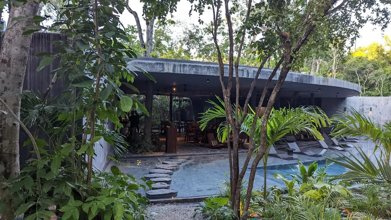 Exclusive Penthouse By Famous Interior Designer By Yeah Lejlighed Tulum
