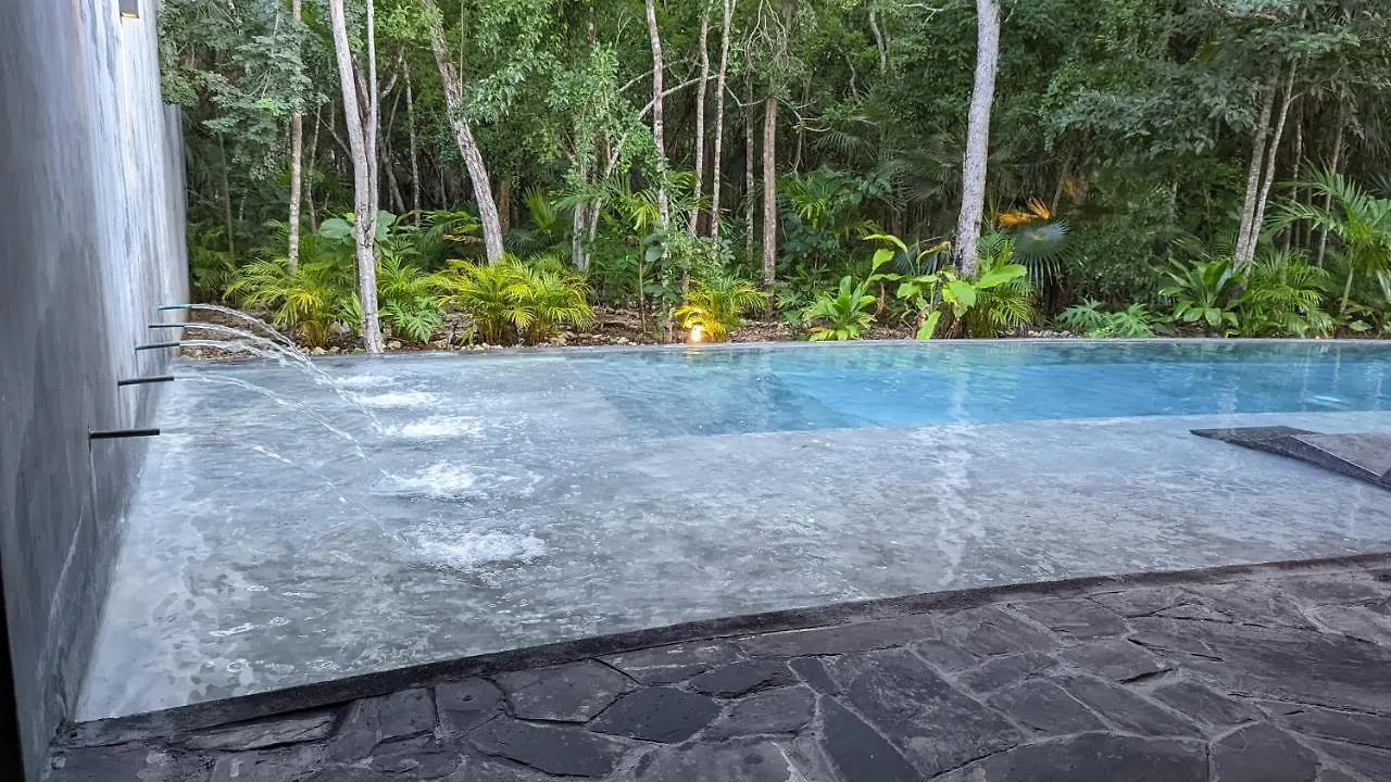 Exclusive Penthouse By Famous Interior Designer By Yeah Lejlighed Tulum Mexico