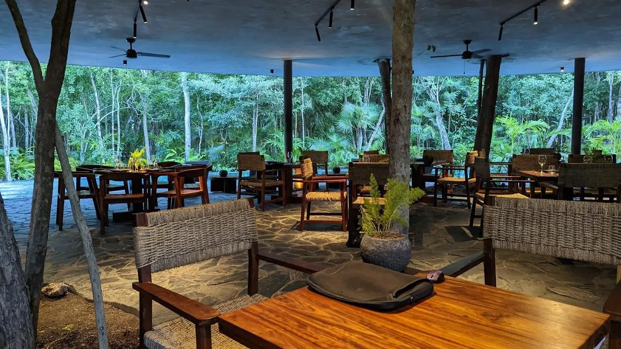 Exclusive Penthouse By Famous Interior Designer By Yeah Lägenhet Tulum Mexiko