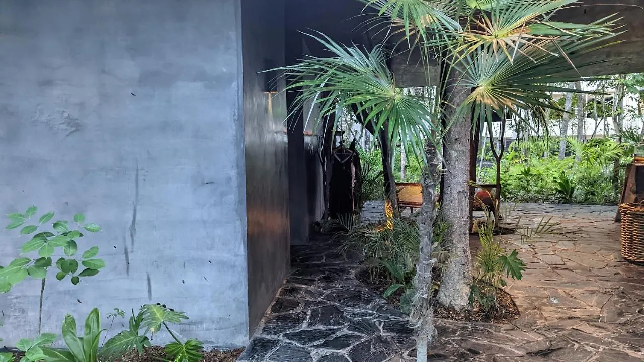 Exclusive Penthouse By Famous Interior Designer By Yeah Lägenhet Tulum