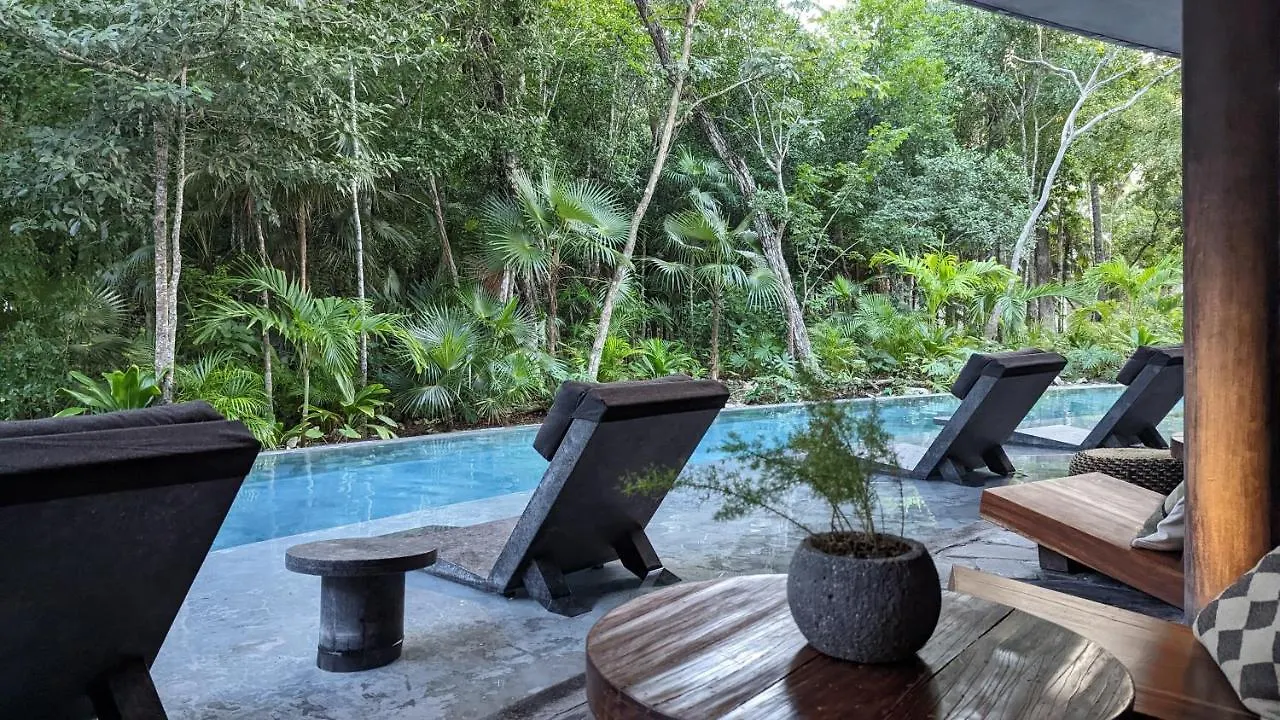 Exclusive Penthouse By Famous Interior Designer By Yeah Lägenhet Tulum