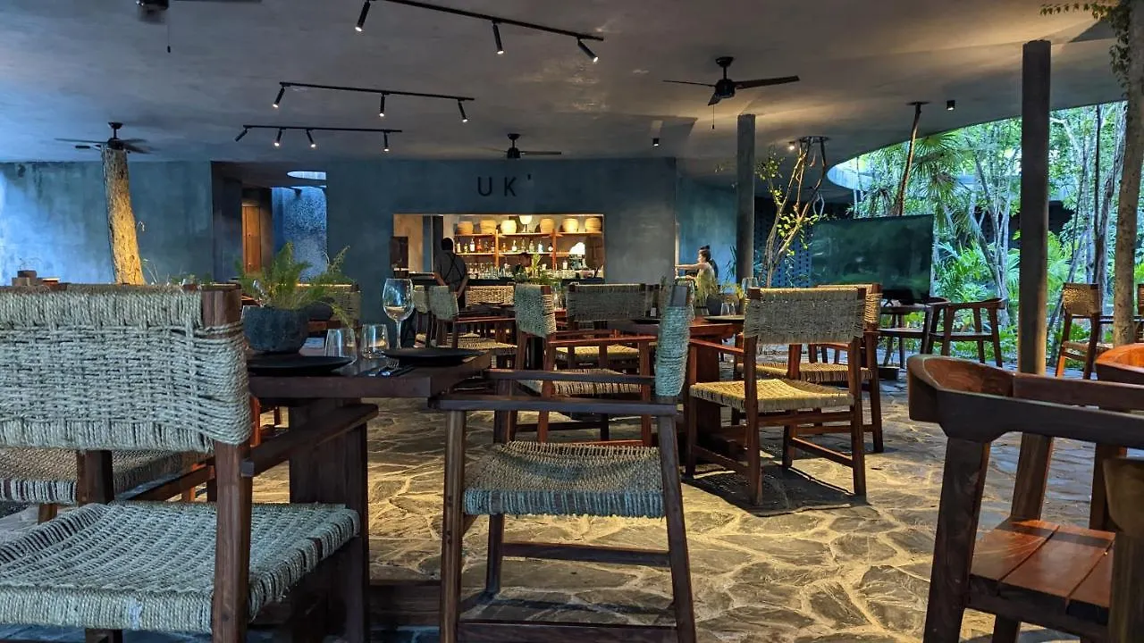 Exclusive Penthouse By Famous Interior Designer By Yeah Lägenhet Tulum Mexiko