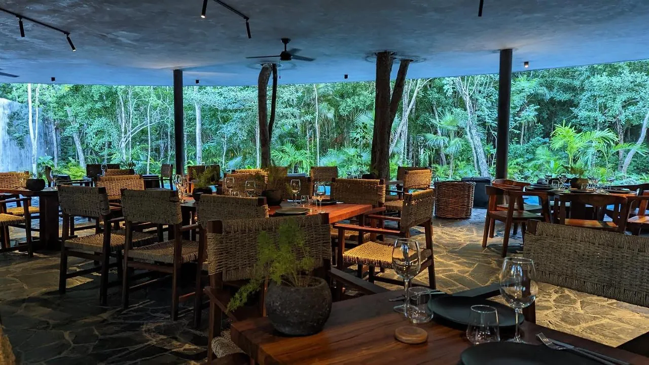 Exclusive Penthouse By Famous Interior Designer By Yeah Lägenhet Tulum Mexiko