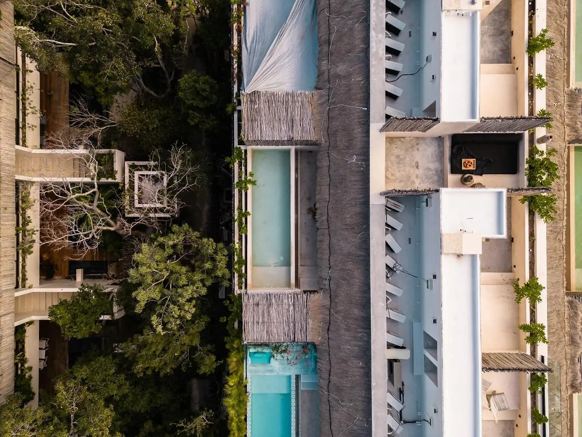 Exclusive Penthouse By Famous Interior Designer By Yeah Lägenhet Tulum